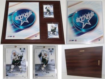 Dallas Stars 2001-2002 Sport Plakette NHL