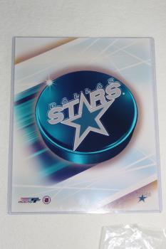 Dallas Stars 2001-2002 Sport Plakette NHL