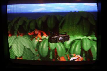 Preview: Donkey Kong Country Super Nintendo