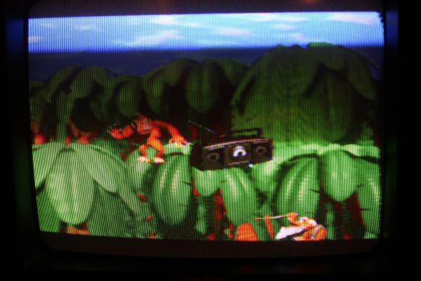 Donkey Kong Country Super Nintendo